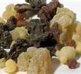 Kemenyan Turunkan Kolesterol dan Hentikan Kanker Pohon Kemenyan (Styrax benzoin) dapat tumbuh di lingkungan yang keras. Kemenyan tumbuh di daerah yang sangat kering dan sangat cocok untuk tanah kapur tinggi dan rendah nutrisi. Bahkan di atas...