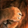 Sang Singa yg Menangis Pernahkah anda membaca dalam riwayat akan Umar bin Khatab menangis? Umar bin Khatab terkenal gagah perkasa sehingga disegani lawan maupun kawan. Bahkan konon, dalam satu riwayat, Nabi menyebutkan kalau Syeitan...