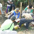 Ponpes. Sirojuth Tholibin (SIRBIN)   telah melaksanakan kegiatan kurban pada Jum’at 26 Oktober 2012 di belakang komplek Ponpes setempat. Dalam kegiatan tersebut, panitia  menerima hewan kurban sebanyak  dua Sapi dan...