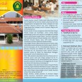 Bagi  yang  ingin mengetahui informasi PSB (penerimaan santri baru) Ponpes. Sirojuth Tholibin dapat melihat pada Brosur berikut :
