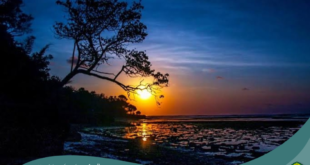 Biarkan Aku Menjadi Yang Terakhir